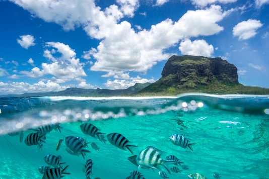   One of the most adored and visited island tourist destinations in the world is Mauritius.  (Photo: Shutterstock)