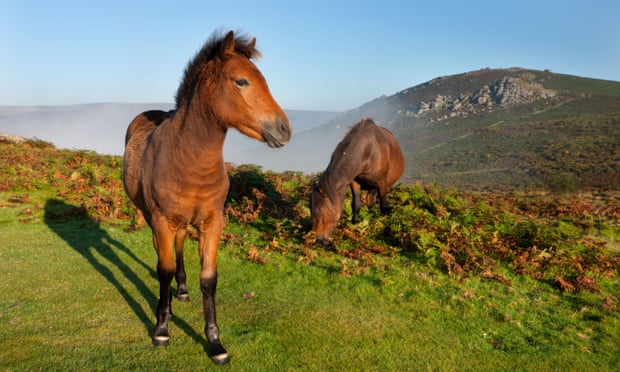 North Bovey, Dartmoor