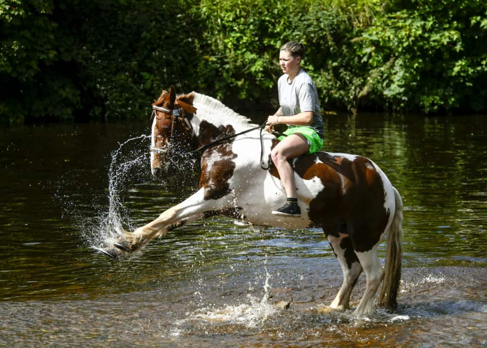 £10,000 to investigate tickets for Appleby Horse Fair