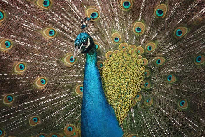 10 Don’t-Miss Events in the Hudson Valley, Aug 24 – Aug 30