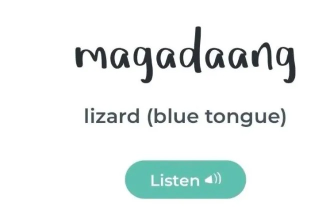 10 Apps to Help You Learn a New Language